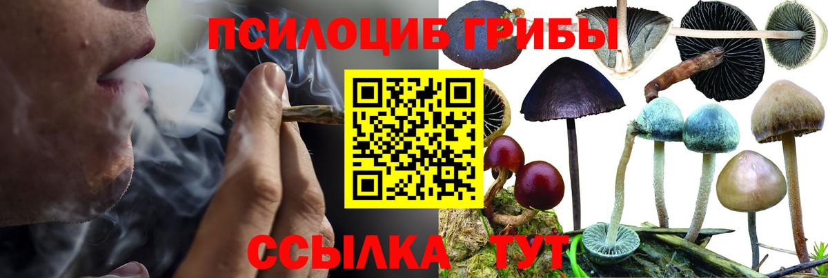 Галлюциногенные грибы Magic Shrooms Нефтекамск